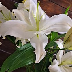 Flower Arrangements 