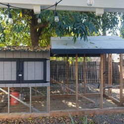 Chicken Coops
