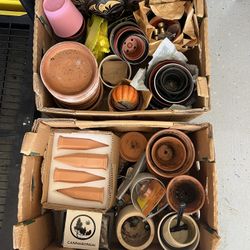 Free Box of Planting Pots