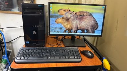 Older budget HP tower system: windows 11 pro, 22” widescreen