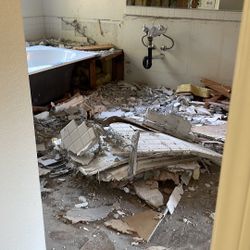 Demo And Clean Up