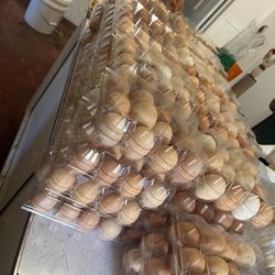 Fresh Eggs