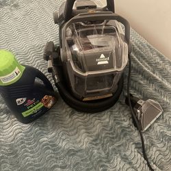 Little Green Hydrosteam Pet