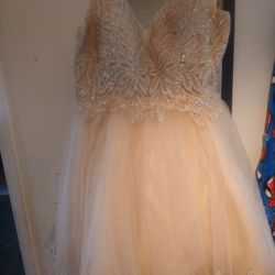 Hoco/Prom/Quince Dress