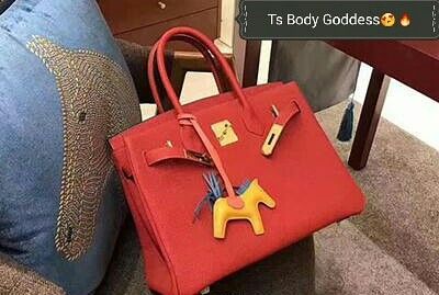 Hermes Birkin purse