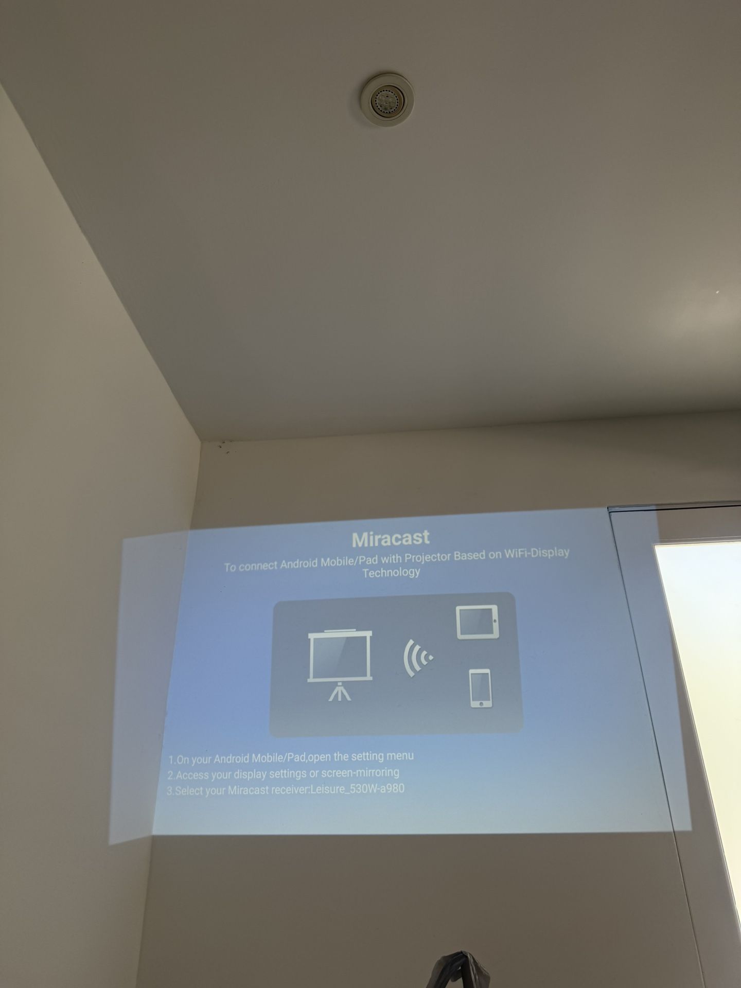 Vankyo Lesiure 530 W Projector