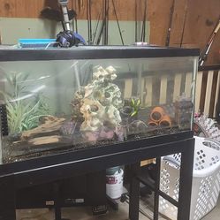 Fish Tank ! Everything For 250 . 40 Gallons . 38 Inches And 20 High