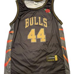 Chicago Bulls-Patrick "P. Will" Williams**Player Jersey Series* SGA_2023-24