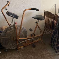 Schwinn Air-Dyne Exercise Bike