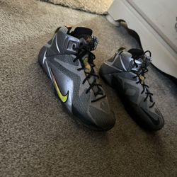 Nike LeBaron’s 12s Flights 