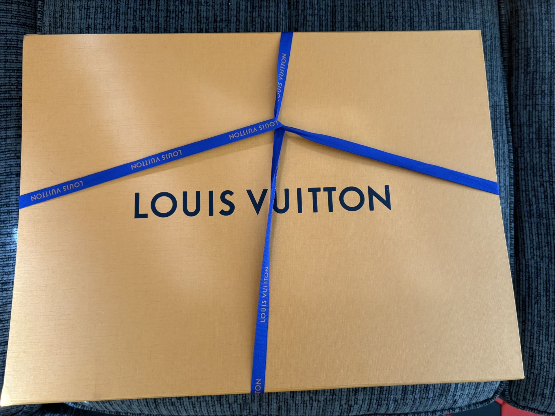 LV Purse