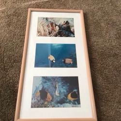 3~Wall Decor Costal Pictures~MANATEES~DOLPHINS~TROPICAL FISH~Hand Printed by the Artist of Ray I Doan~151/4 x 291/4~
