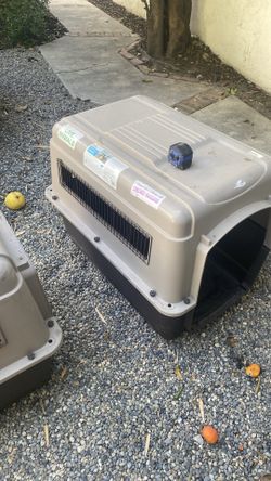 Dog  cages