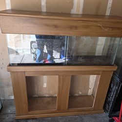 55 Gal Stand And Canopy ( No Tank)