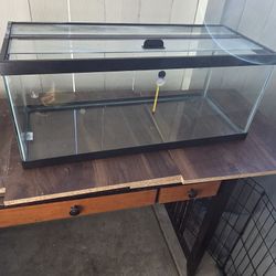 25 Gallon Aquarium