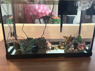 Aquarium tank 25Gal