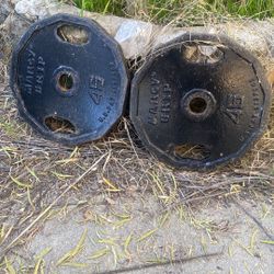 Marcy Grip 45 pound plates