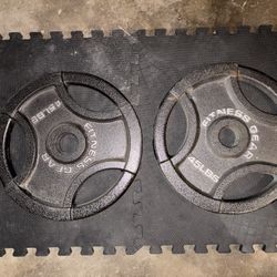 Pair Of 45 Pound Barbell Weights 