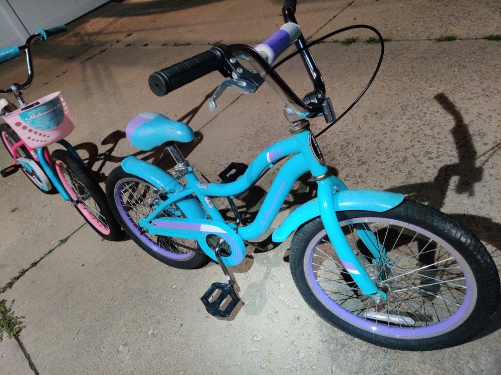 Two Schwinn 18 Inch . Almost New.35 $ Or 60 For Both