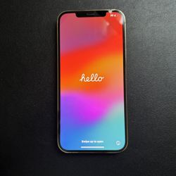 iPhone 12 Pro Max