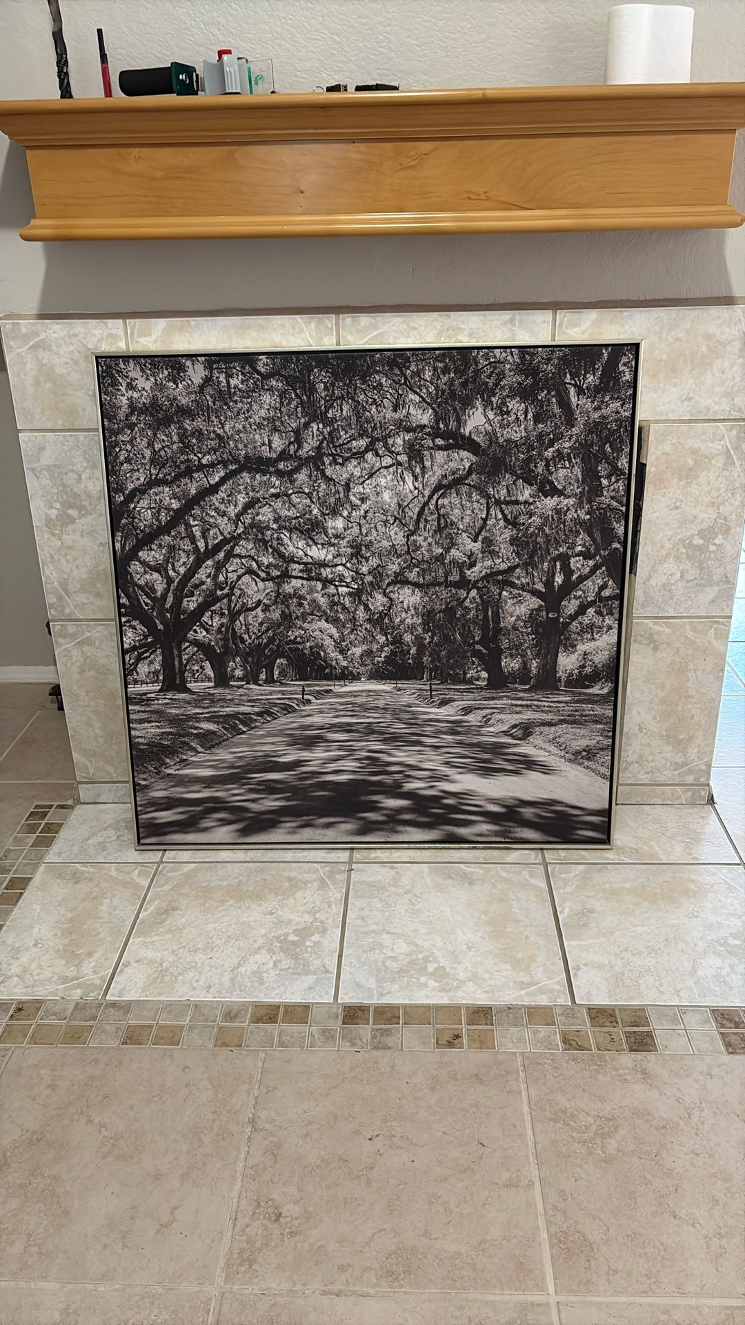 Picture For Hanging On Wall 3’ X 3’