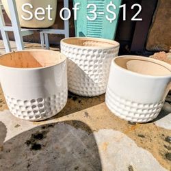 Pots / Planters