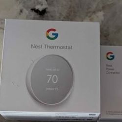 Google Nest