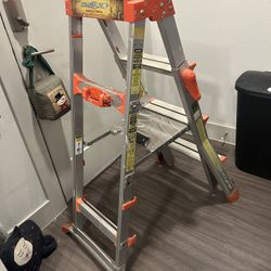 Little Giant Select Step Ladder