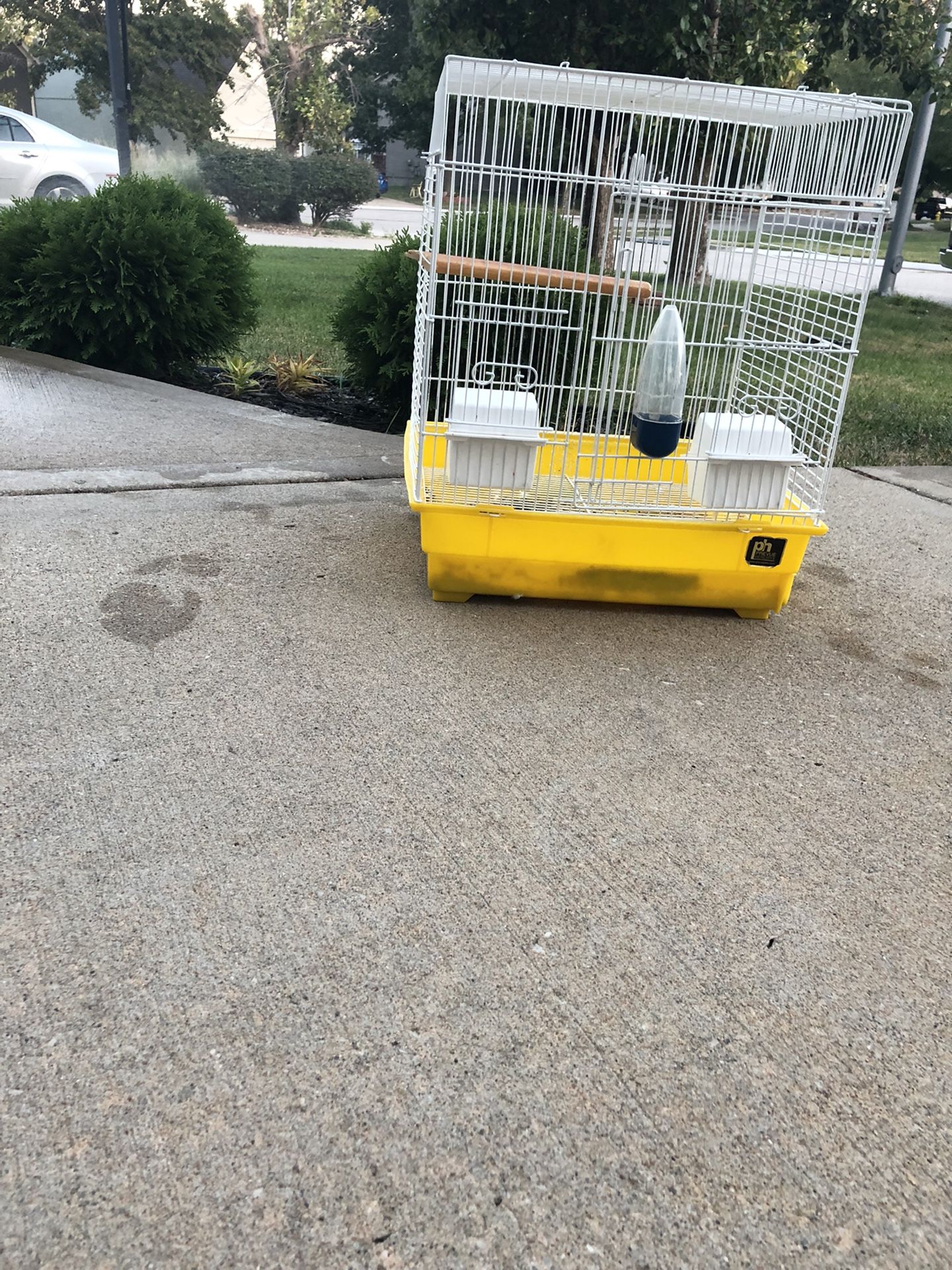 Bird Cage