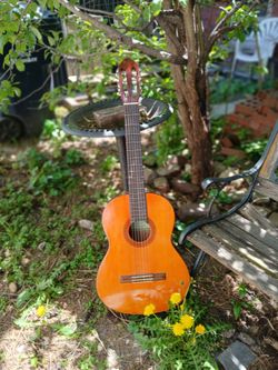Spanish Guitar