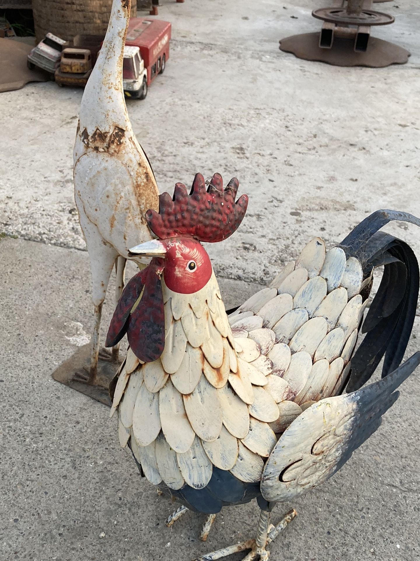 Garza Y Gallo Para Decoración Del Garden