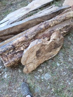Live edge maple