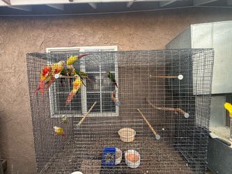 Cage