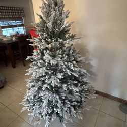 King Of Christmas Tree