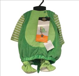 Baby 9 months turtle costume
