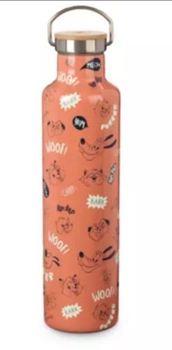 Disneyland Parks stainless steel water bottle