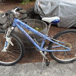 Bikes!! For Sale