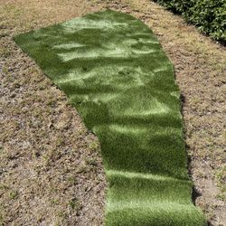 Turf