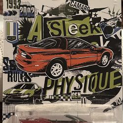 Hot Wheels Chevy Camaro Set Of 10