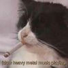 Manny  (send me an offer)