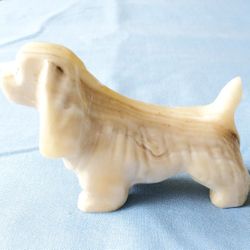 

Dog, cocker spaniel marble 