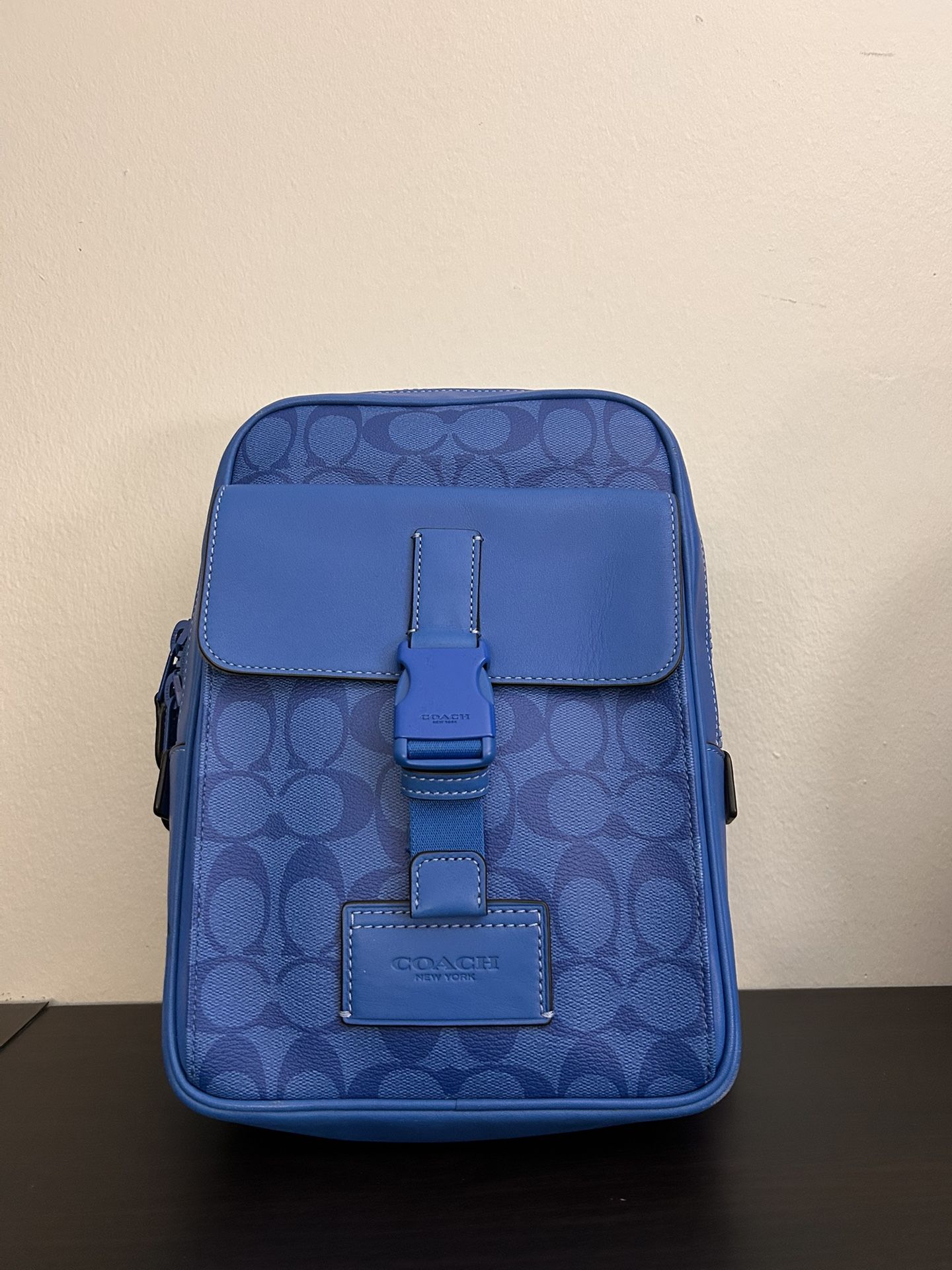 Blue Leather Coach Sling Bag