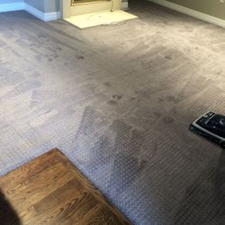 Carpet !Replacements!