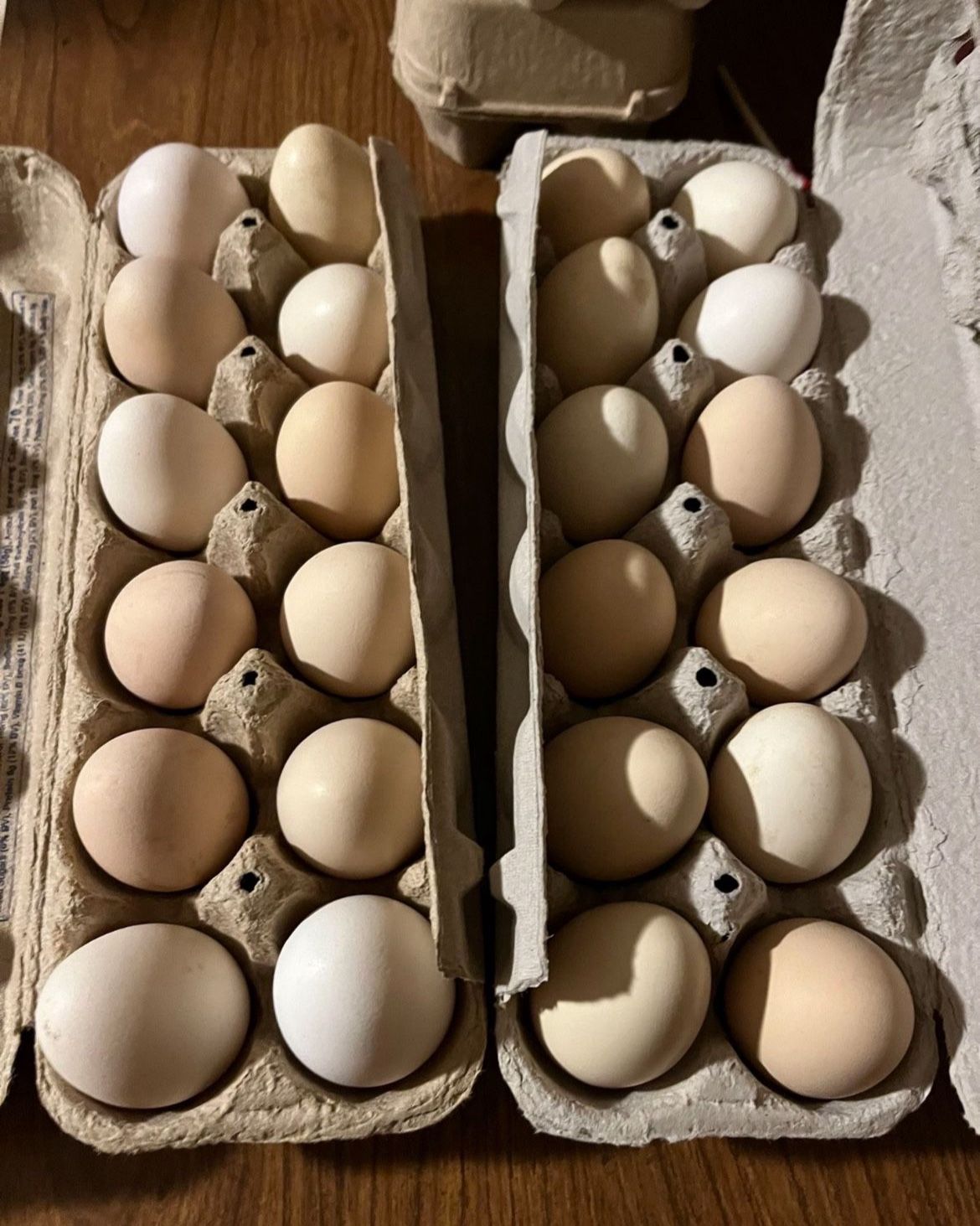 Huevos Organicos