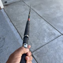 Saltwater Rod 