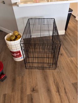 Medium kennel