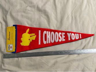 Pokemon x target pikachu pennant
