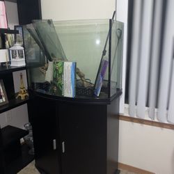 Medium Sized Fish Aquarium
