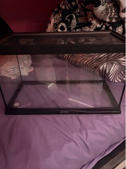 Leopard Gecko Tank