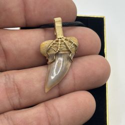 Gorgeous Mini Shark Tooth Pendant. Wrapped In 14 K Gold Filled Wire. Made To Last.